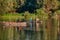 Novi Sad, Serbia - August 04, 2018: Danube island Å odroÅ¡ near Novi Sad, Serbia. Fishermans sitting in boat and holding fishing r